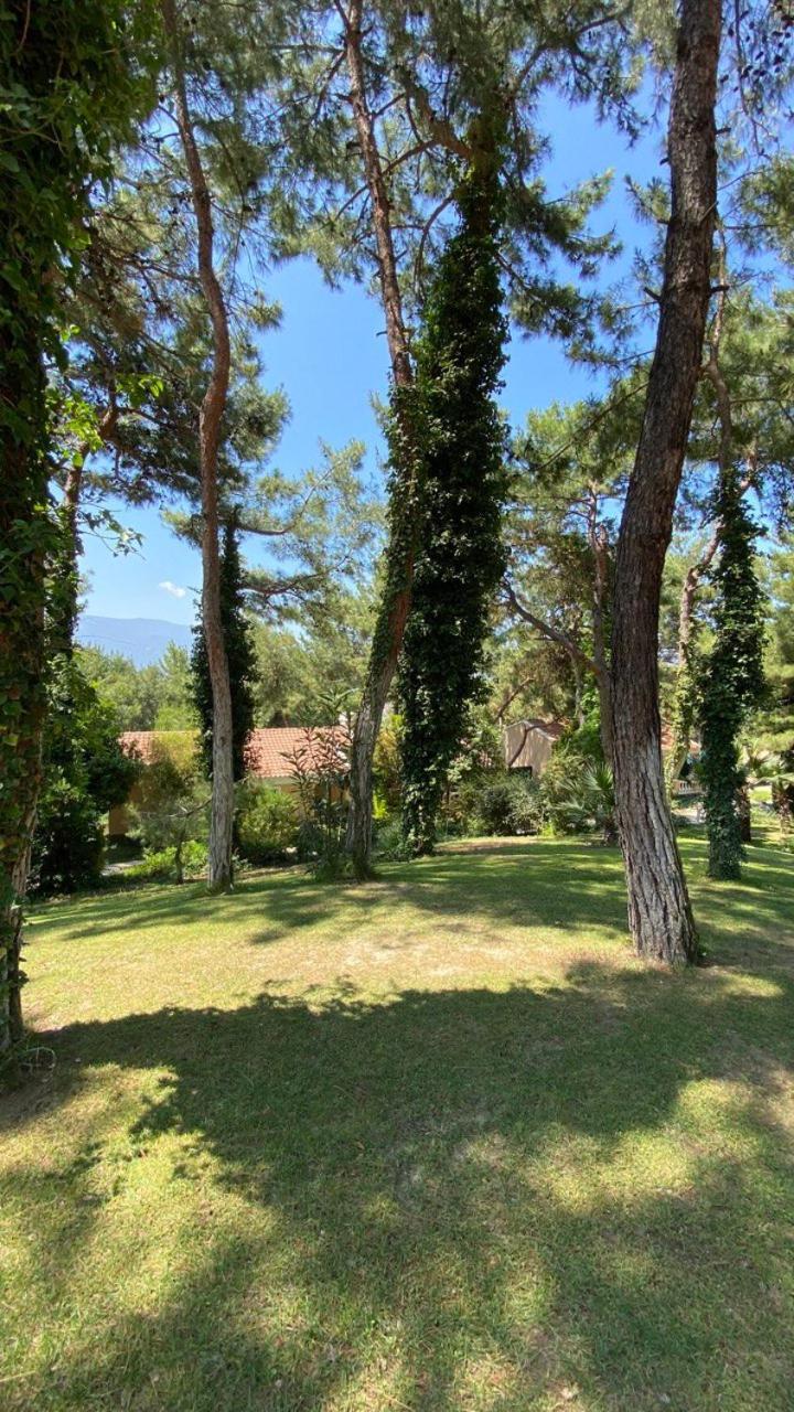 Pine Club Apart Hotel Kusadası Kültér fotó